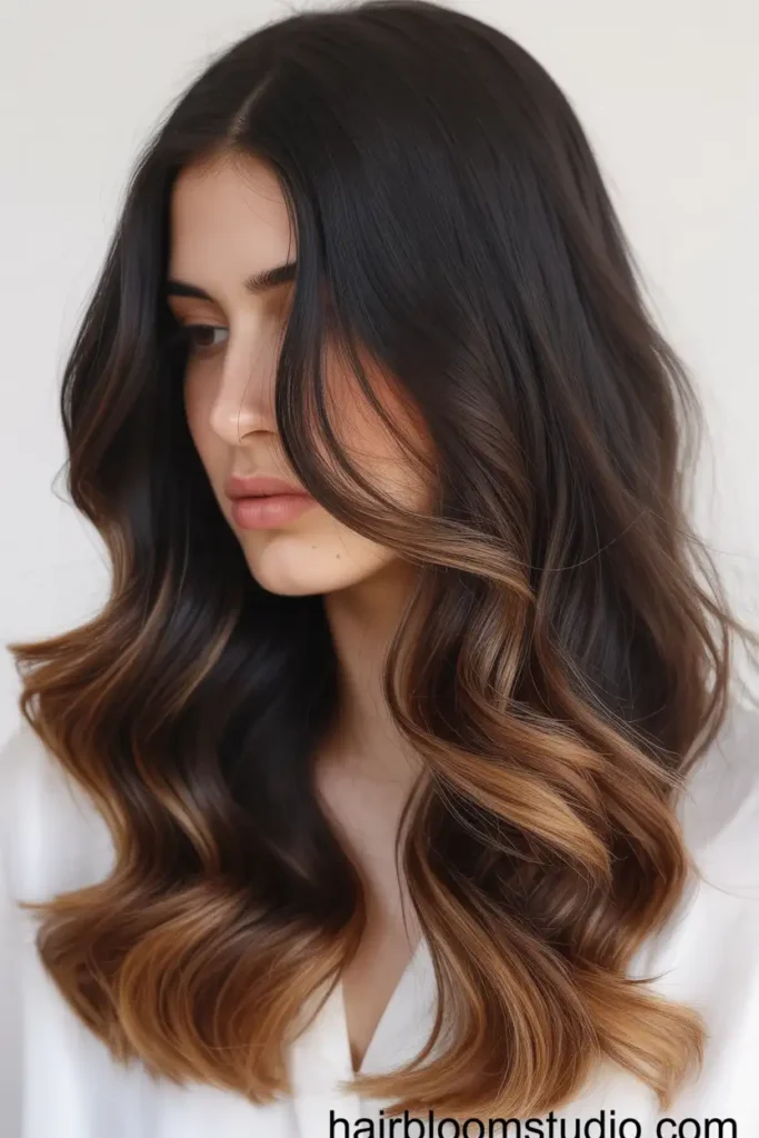Ombre Brown Highlights